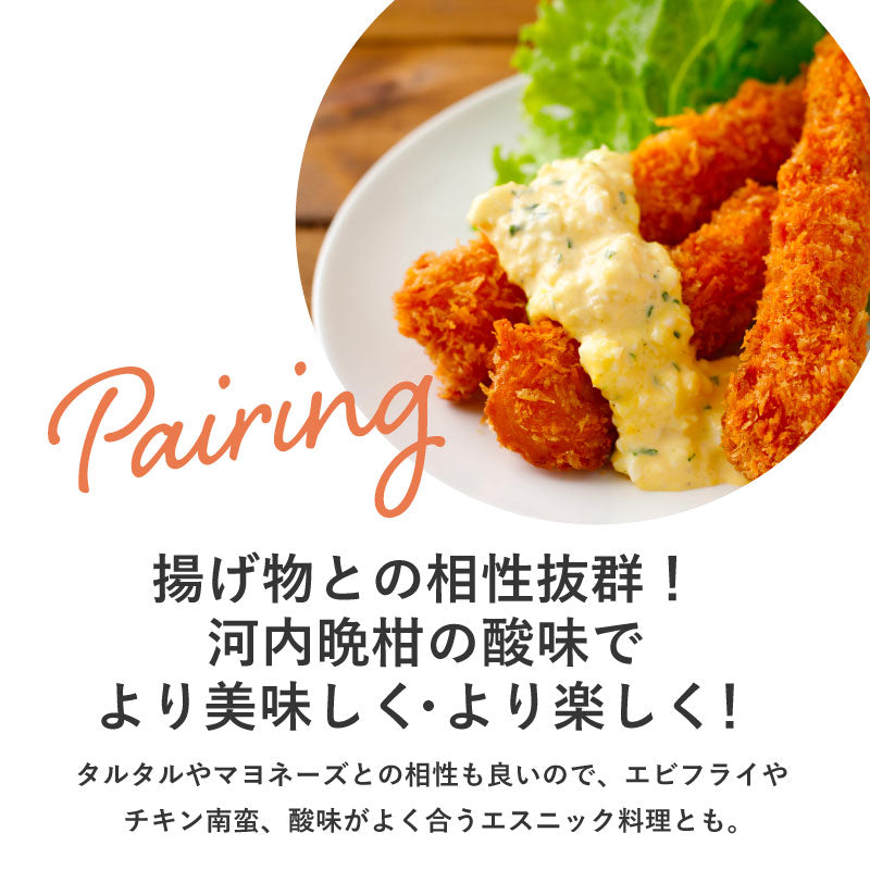 クラフトビール 季節限定 【熊本県産「河内晩柑」をギュッと生搾り】 CRAFTX シトラスバケーション 6瓶【ブラックフライデー・サイバマンデー特別価格】