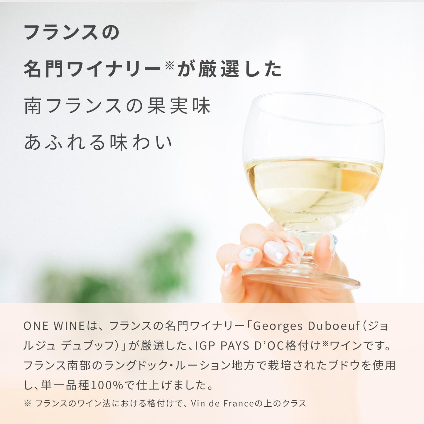 送料無料 サントリー ONE WINE ワン ワイン 4種 アソートセット 250ml×8本/缶/2セット/ソーヴィニヨンブラン／シャルドネ／ピノ・ノワール／メルロ／wine_YCW