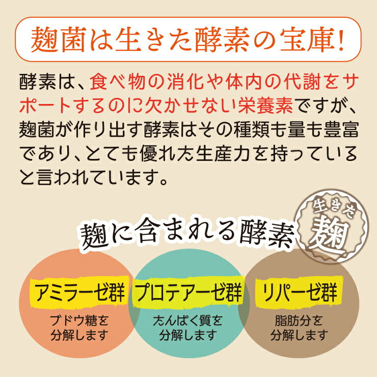 【限定クーポンで20%OFF】すごい麹コーンスープ12包入り