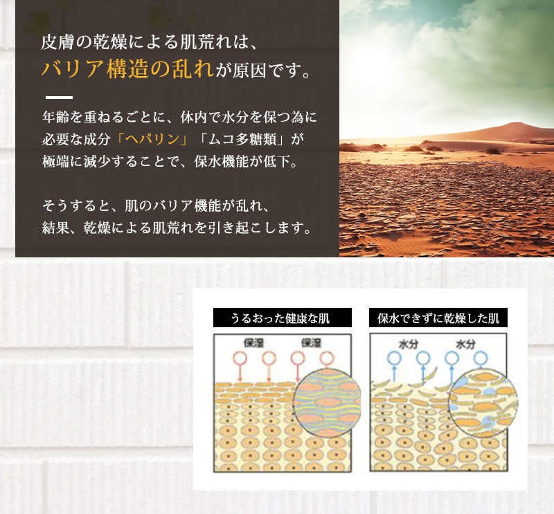 【医薬部外品】 ヘパリン類似物質 ヒルドプレミアム 50g  肌荒れ 乾燥肌 ハンドクリーム ヒルド クリーム メール便送料無料