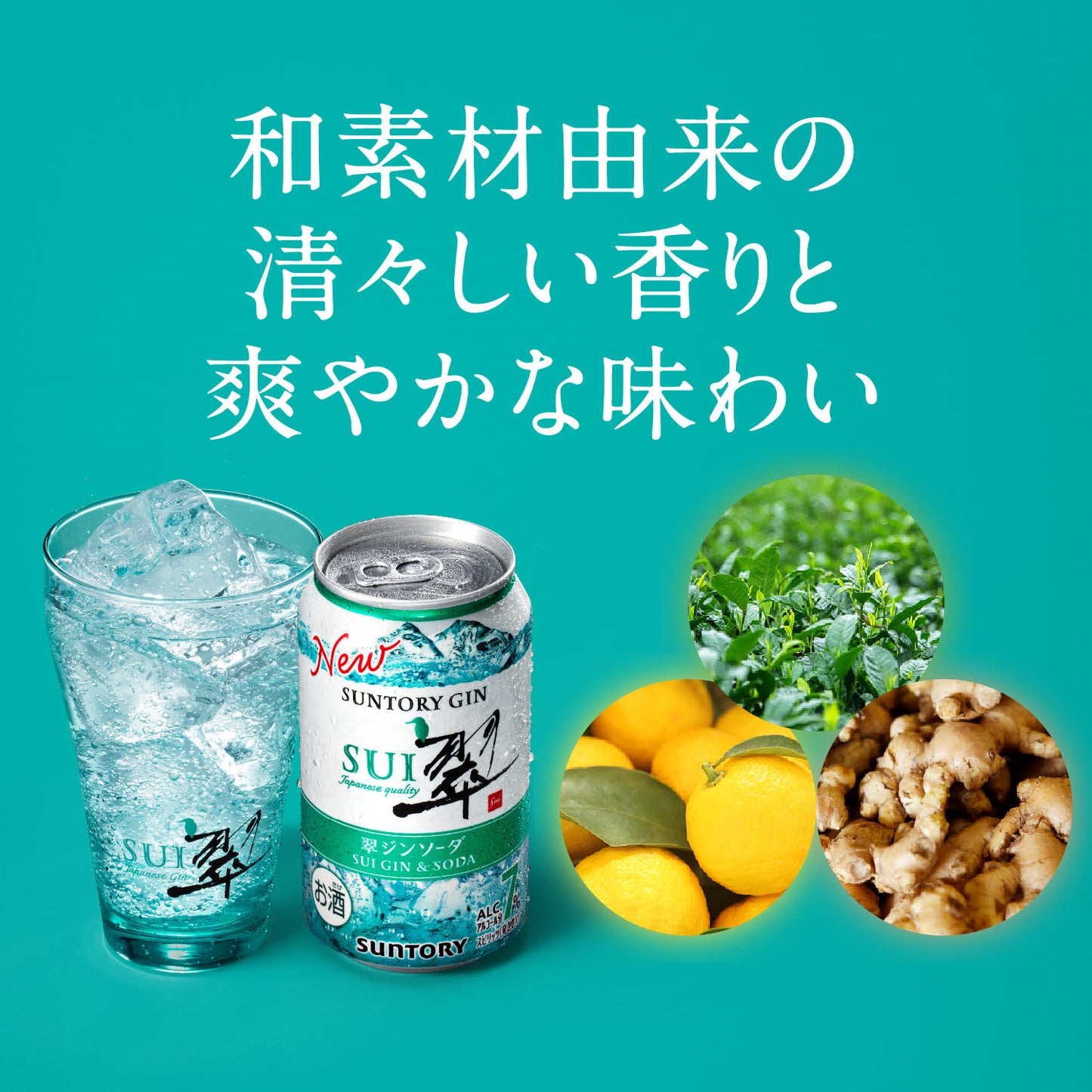 【訳あり】【キズ・へこみ有り】【送料無料】サントリー 翠 (すい) ジンソーダ 缶500ml×1ケース/24本 gin_SUIG【北海道・東北・四国・九州・沖縄県は必ず送料がかかります】