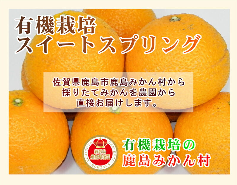 【フルーツ みかん 有機スイートスプリング】佐賀県 鹿島市 有機みかん佐藤農場有機栽培 スイートスプリング 5kg採りたてを農園から産地直送 送料無料【ミカン 果実 ギフト 無農薬栽培】