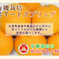 【フルーツ みかん 有機スイートスプリング】佐賀県 鹿島市 有機みかん佐藤農場有機栽培 スイートスプリング 2.5kg採りたてを農園から産地直送 送料無料【ミカン 果実 ギフト 無農薬栽培】