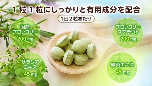 ブロッコリースプラウト スルフォラファン サプリメント アルコラファン 90粒(45日分)