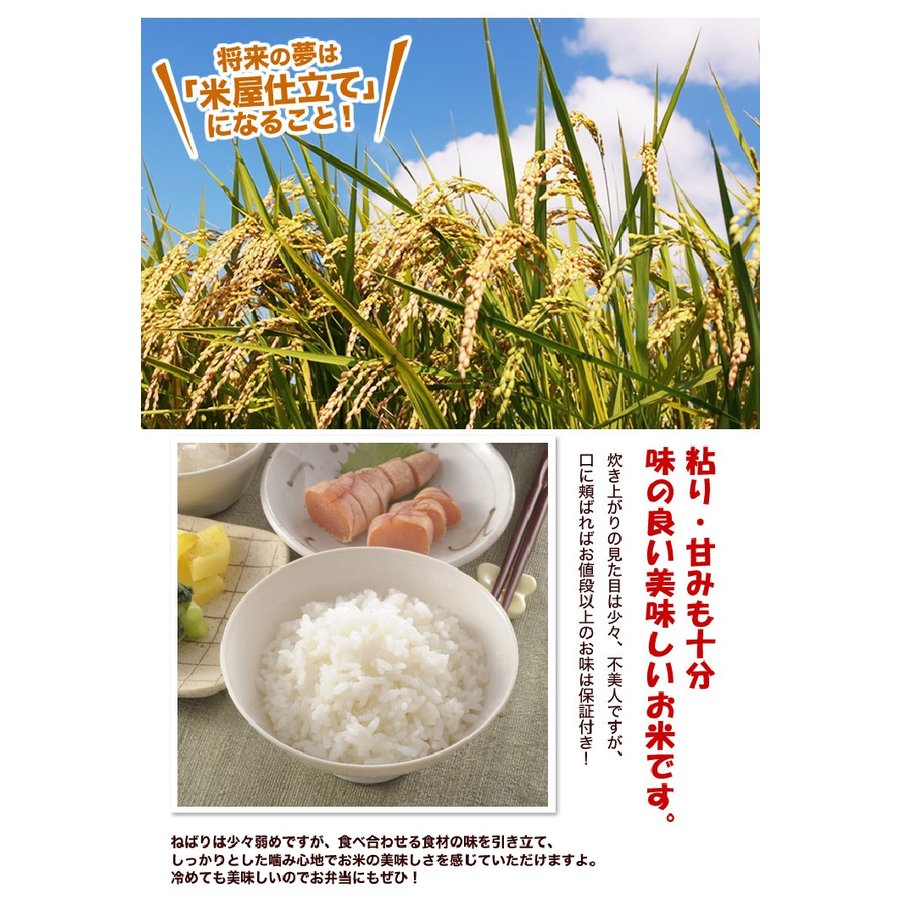 ブレンド国産米「米屋仕立て」20ｋｇ