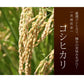 30kg 新米 令和3年 茨城県産 こしひかり  白米