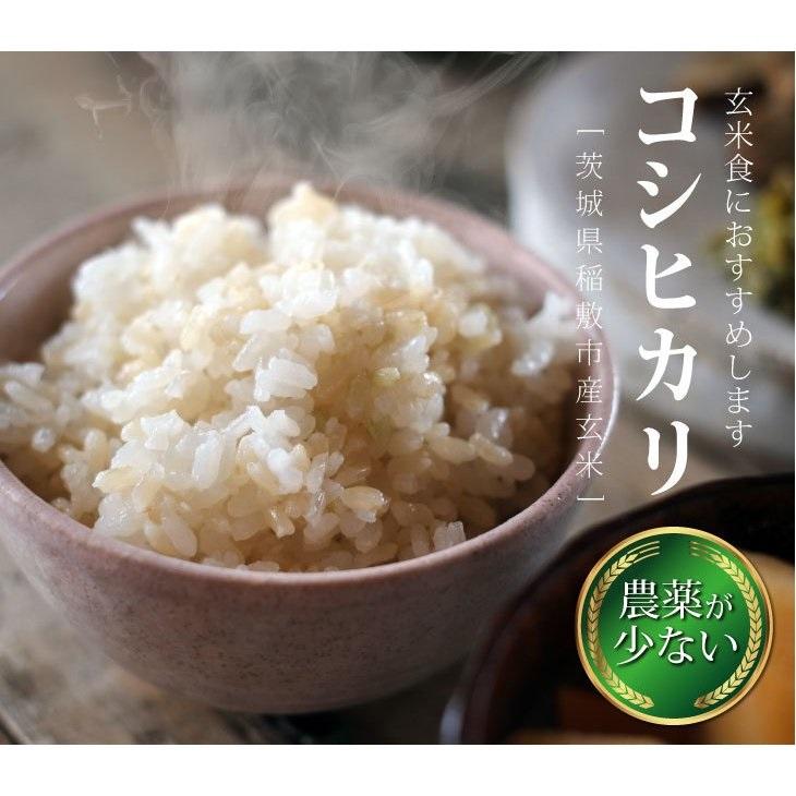 こしひかり　玄米10ｋｇ　令和３年産