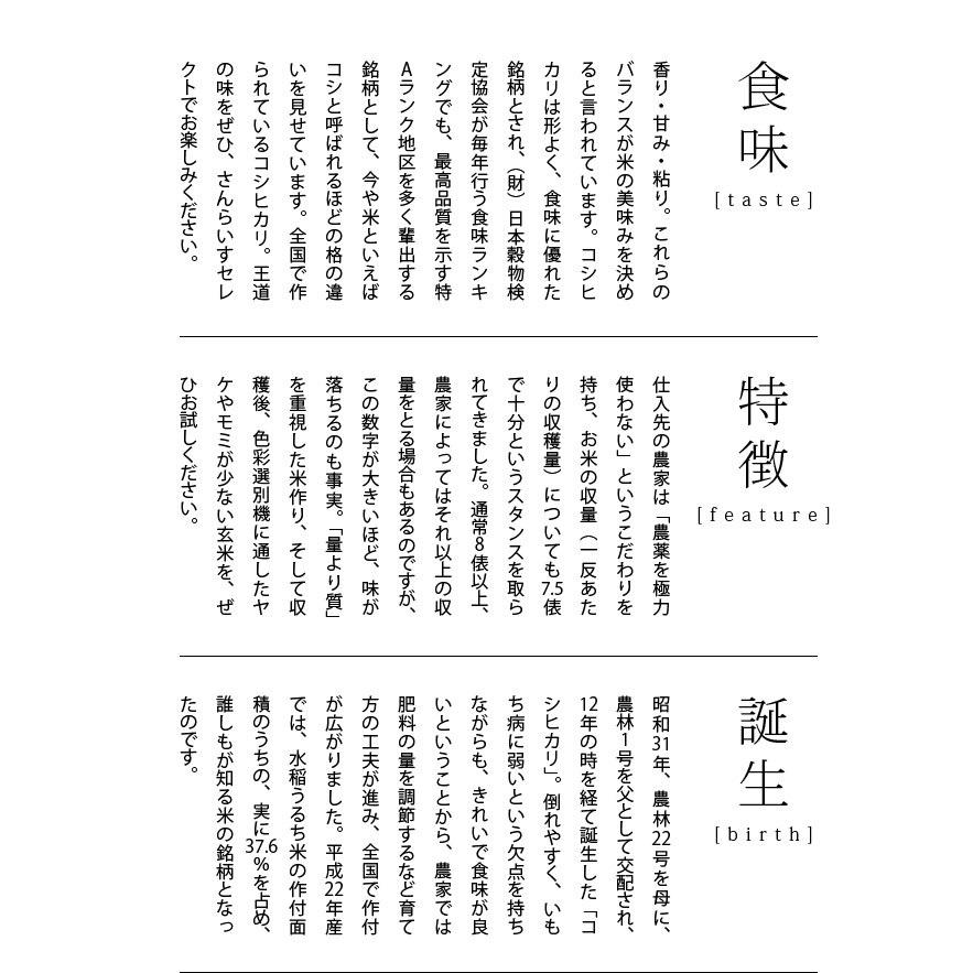 こしひかり　玄米10ｋｇ　令和３年産