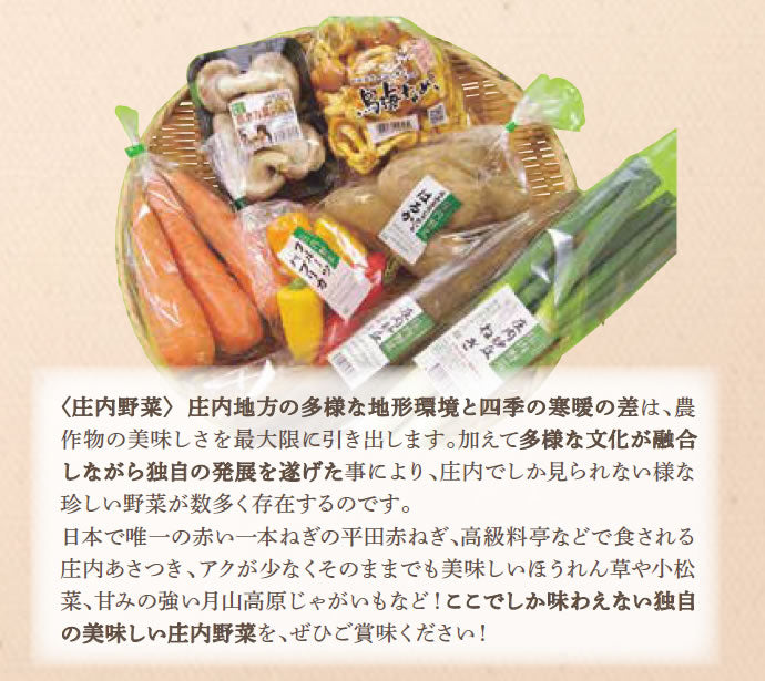 庄内野菜セット(おまかせ7品)  産地直送 送料無料※一部地域を除く