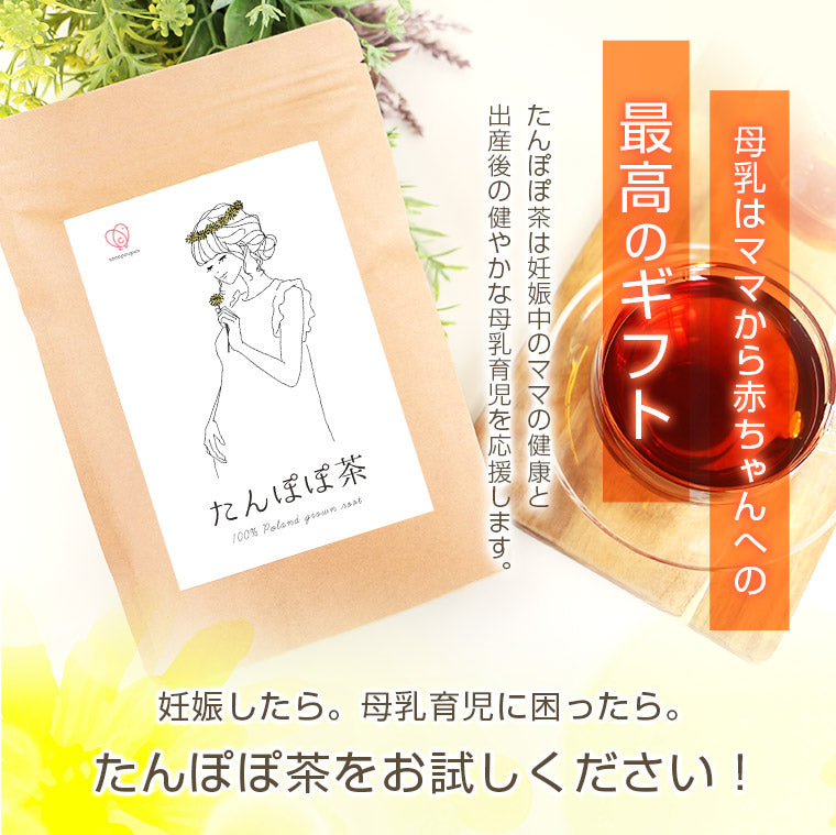 たんぽぽ茶 （2g×30包入）1袋