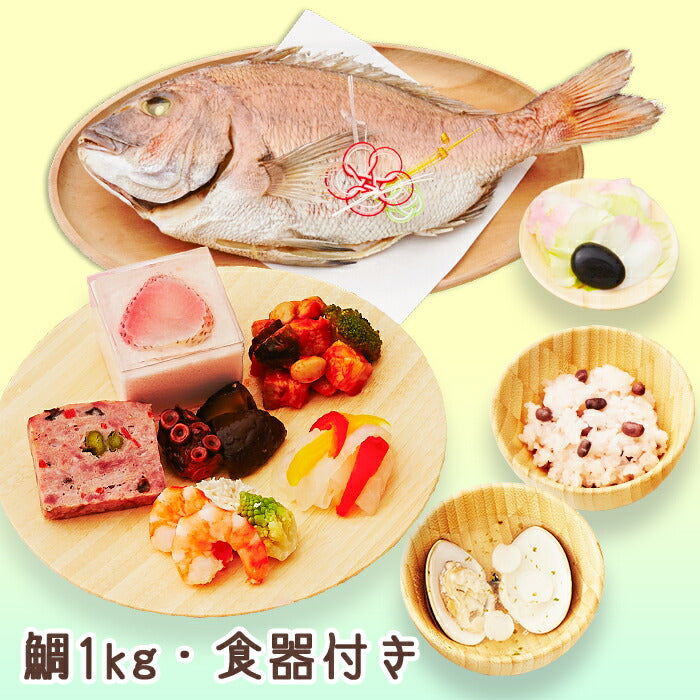 ★非掲載★お食い初め 料理 セット 【フレンチの鉄人 坂井宏行監修 フレンチお食い初め膳 - 祝い鯛姿焼きコース（鯛1kg・食器セット） - 】 歯固め石 赤飯 鯛 はまぐり 祝箸 国産天然真鯛 盛り付け済み レンジ解凍OK 送料無料