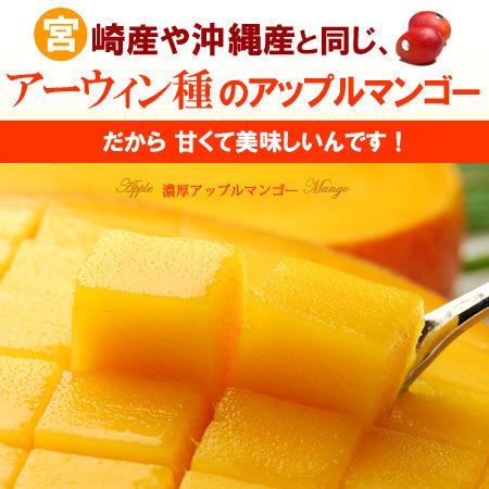 【お得用】台湾愛文マンゴー 5kg箱/14玉入 小玉