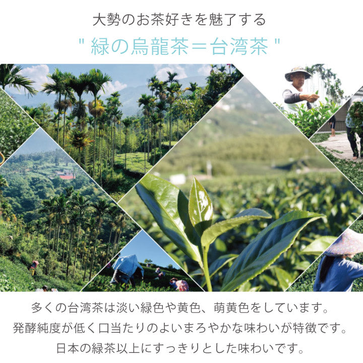 台湾茶ティーバッグMug＆Pot凍頂烏龍茶東方美人茶四季春茶3種類各2g×6パック入り紅茶烏龍茶