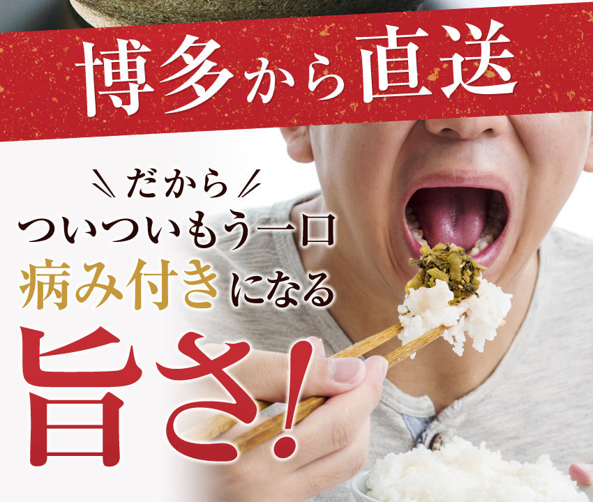 高菜4パック 明太子高菜＆直火高菜２種セット 本場博多高菜専門店