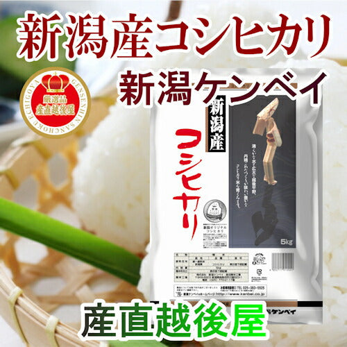 【送料込み】令和４年産 新潟県産 コシヒカリ 20kgこしひかり竹人形 新潟ケンベイ産