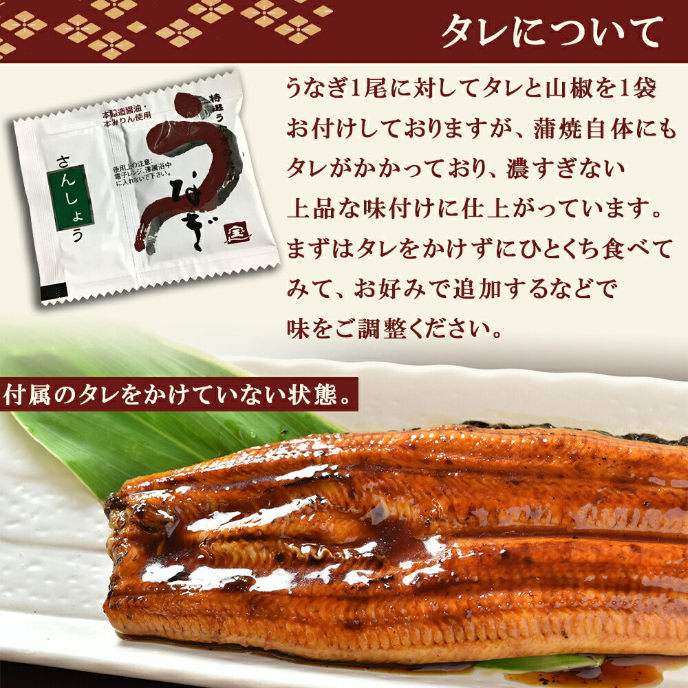 鹿児島産うなぎ蒲焼2尾セット