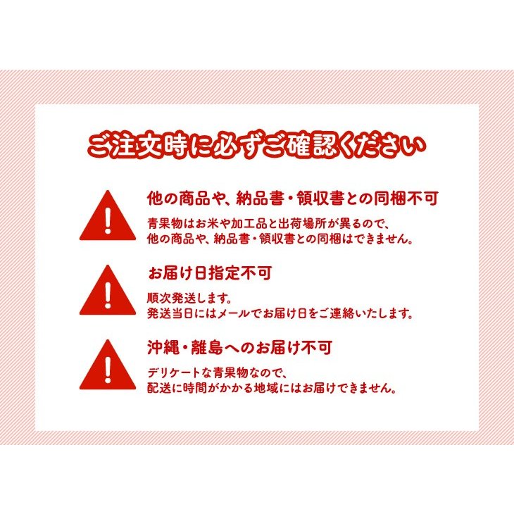庄内野菜セット(おまかせ7品)  産地直送 送料無料※一部地域を除く