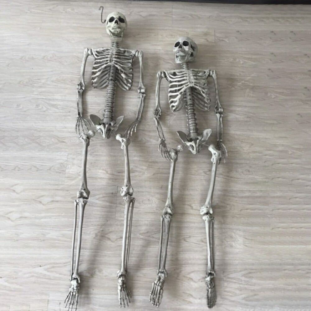 ハロウィン 骸骨 ガイコツ 骨 等身大 置物 約165cm ホラー リアル 本格的 誕生日 飾り付け 室内 置物 仮装 クリスマス用品 怖い 恐怖 スケルトン skeleton 骨 ボーン 渋い かわいい Xmas Christmas 豪華グッズ
