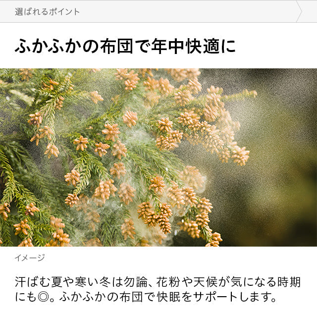 ホワイト ふとん乾燥機  衣類乾燥機 靴乾燥機 ダニ対策 湿気対策 (htfk01)  【1年保証】