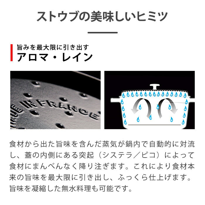 ストウブ 両手フライパン ラウンド20cm グレーストウブ ih対応 ih ホーロー ストゥブ 鍋 1人用 フライパン 鋳物 深型 ステーキ 両手鍋 ホーロー鍋 深型フライパン なべ 両手 琺瑯鍋