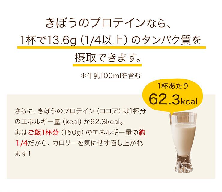 【期間限定セール価格】プロテイン ココア味 360g（1回5～15g 約36食分） 女性 ダイエット 置き換えダイエット 美容 ソイ ホエイ タンパク質 スーパーフード８種 ユーグレン配合 ソイプロテイン ホエイプロテイン タンパク質  ユーグレナ イヌリン ココア プロテイン