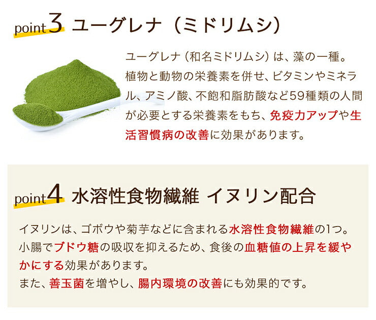 【期間限定セール価格】プロテイン ココア味 360g（1回5～15g 約36食分） 女性 ダイエット 置き換えダイエット 美容 ソイ ホエイ タンパク質 スーパーフード８種 ユーグレン配合 ソイプロテイン ホエイプロテイン タンパク質  ユーグレナ イヌリン ココア プロテイン