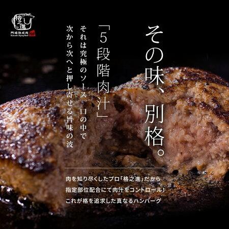 格之進 金格ハンバーグ 10個セット 国産牛 白金豚 無添加