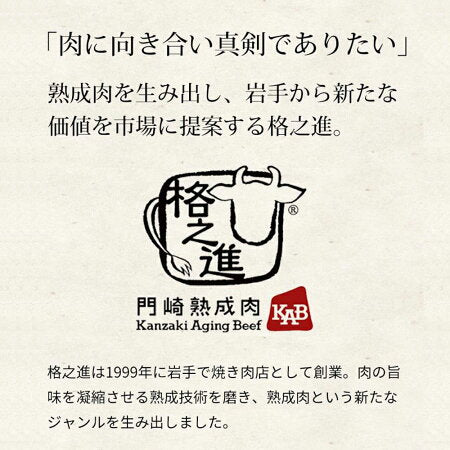 格之進 金格ハンバーグ 10個セット 国産牛 白金豚 無添加