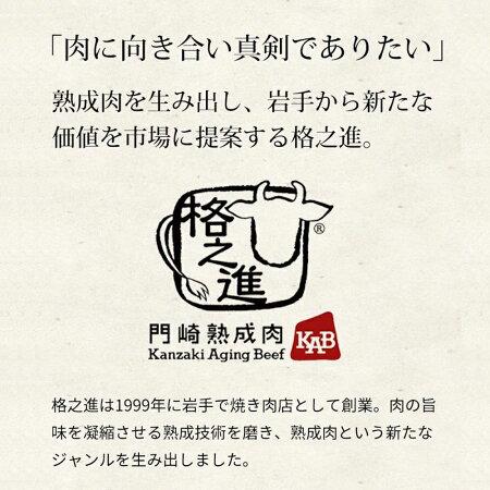 格之進 金格ハンバーグ 10個セット 国産牛 白金豚 無添加