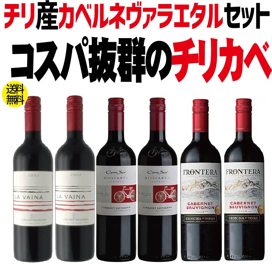 【送料無料】ワイン セットチリカベ 飲み比べセット 750ml×6本【北海道・沖縄県・東北・四国・九州地方は必ず送料がかかります】