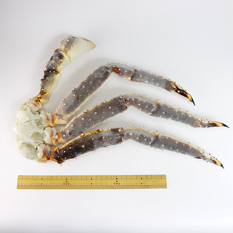 生タラバガニ3kg 約3肩入り 化粧箱付 ( タラバガニ かに カニ 蟹 たらばがに ) 送料無料 お取り寄せグルメ 食品 ギフト 海鮮