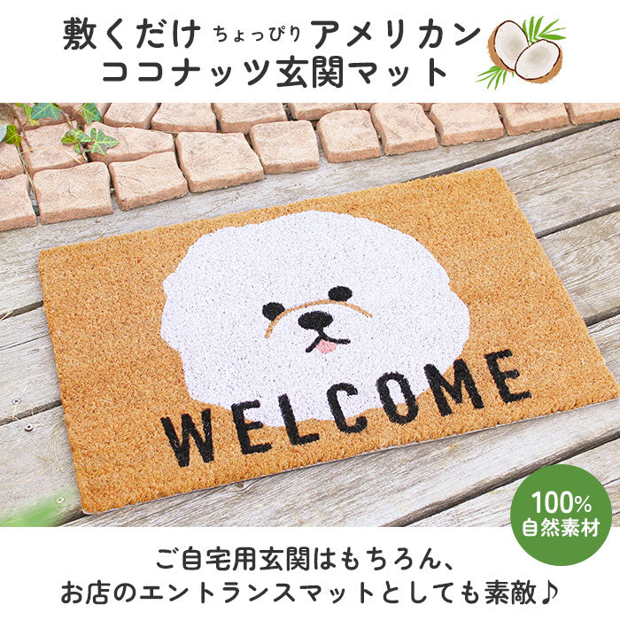 【フクロウ・コイヤーマット】 玄関マット コイヤーマット 通販 泥落とし エントラスマット ウエルカムマット ドアマット 屋外用 自然素材 ココヤシ 玄関先 ベランダ おしゃれ かわいい 水はけ 良い 雨の日 安心