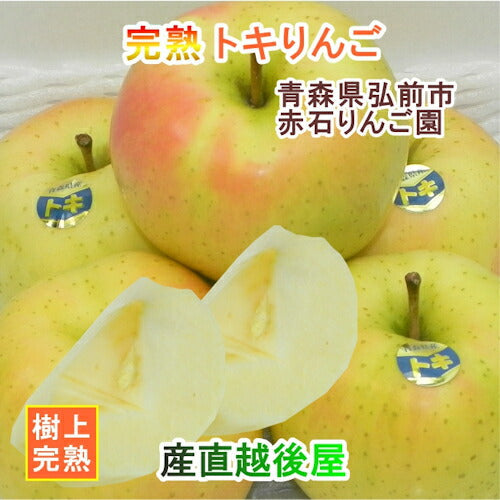 【フルーツ りんご 青森りんご 送料無料】青森県弘前市 赤石りんご園青森りんご トキ 2.5kg（7玉～12玉）通常品期間限定 樹上完熟りんご【リンゴ 果物 贈答品 ギフト】