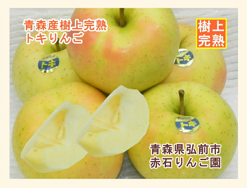 【フルーツ りんご 青森りんご 送料無料】青森県弘前市 赤石りんご園青森りんご トキ 2.5kg（7玉～12玉）通常品期間限定 樹上完熟りんご【リンゴ 果物 贈答品 ギフト】