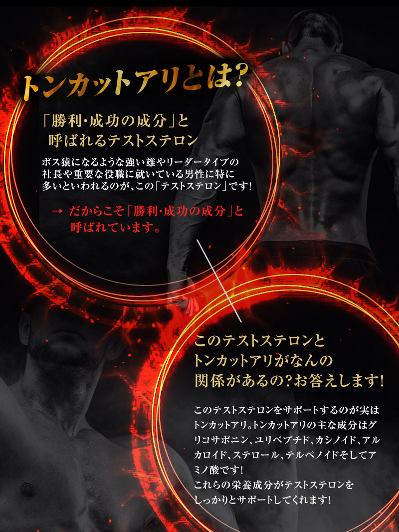 トンカット サプリメント トンカットアリEX 1袋 180粒 約3ヶ月分