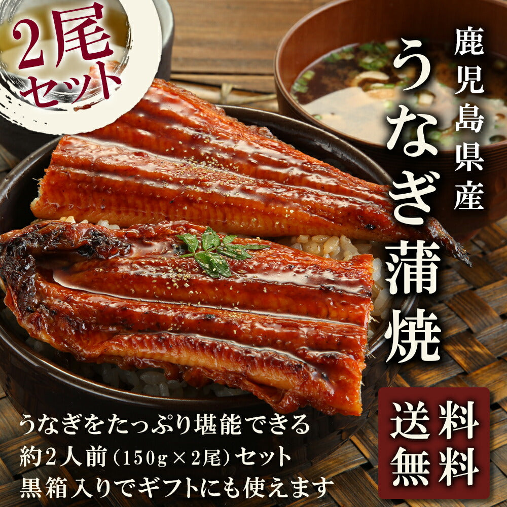 鹿児島産うなぎ蒲焼2尾セット