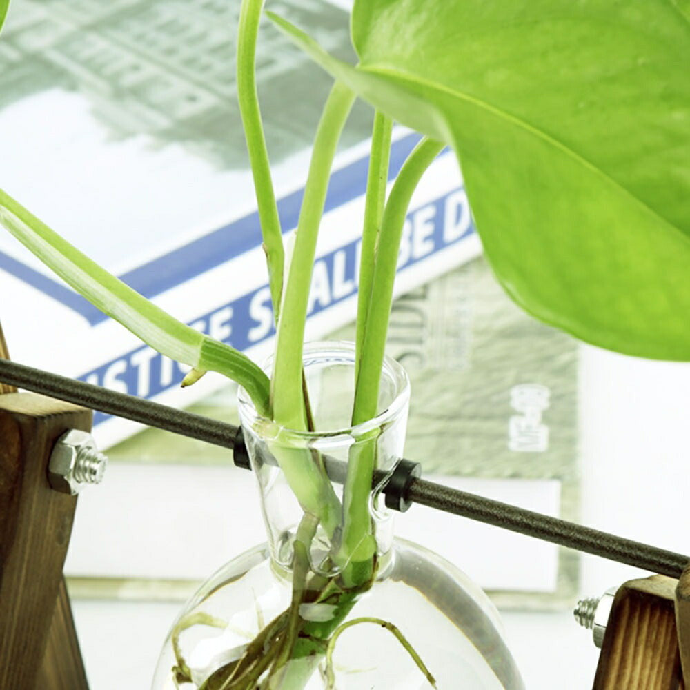 花瓶 フラスコ型 透明 ガラス 木製 クリア 水耕栽培 花器 卓上花瓶 木製枠 透明 フラスコ 革新的 インテリア 飾り 工芸品 輪っか 丸型 試験管 フラワーベース Flower 一輪挿し ドライフラワー 北欧 瓶 ビン かわいい