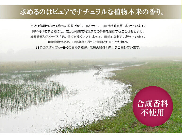 NAGOMI PURE ブレンドオイル アロマ ディープフォレスト 10ml 【 アロマオイル ブレンド エッセンシャルオイル 精油 パイン ユーカリ ペパーミント 】