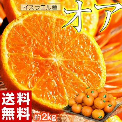 オレンジ『オア』 イスラエル産　約2kg（14〜20玉）