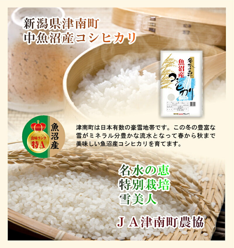 【送料込み】令和４年産 コシヒカリ 中魚沼産 JA津南町農協魚沼産 コシヒカリ 3kg名水の恵