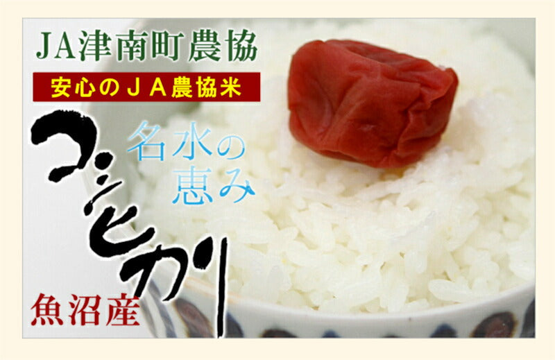 【送料込み】令和４年産 コシヒカリ 中魚沼産 JA津南町農協魚沼産 コシヒカリ 3kg名水の恵