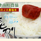 【送料込み】令和４年産 コシヒカリ 中魚沼産 JA津南町農協魚沼産 コシヒカリ 20kg名水の恵