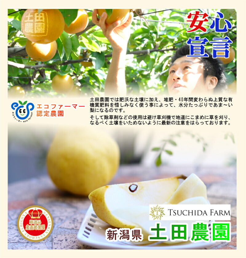 【フルーツ 梨 和梨 新興 送料無料】新潟県 エコファーマー認定農園 土田農園 有機栽培 新興梨 家庭用 10kg(14個～18個）樹上完熟梨【なし 贈答品 プレゼント】