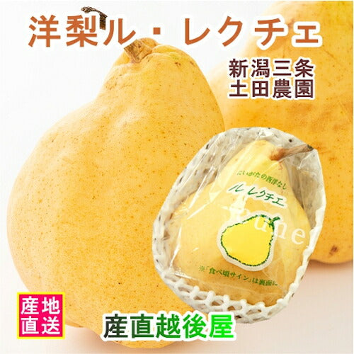 【フルーツ 洋梨 ルレクチェ 送料無料】新潟県 エコファーマー認定農園 土田農園 有機栽培 幻の洋梨ルレクチェ家庭用 4kg(8個～12個）【ル・レクチェ 梨 ギフト プレゼント】