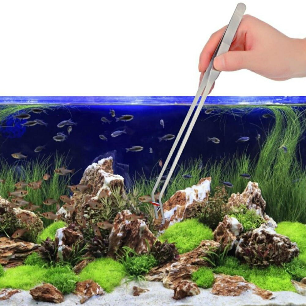 水槽 用 お手入れ4点セット スポイト ブルー  ピンセット 網 水槽掃除 アクアリウム 隔離 メダカ 安心 安全 飼育 自由研究 かわいい 可愛い ペット 稚魚 淡水 観察 繁殖 プレゼント 養殖 増やす 保護 巣 家 卵 DIY ケージ 水草