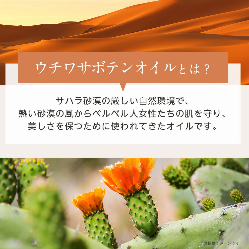 【新発売記念★送料無料】オーガニック・ウチワサボテンオイル（未精製）30ml 【 キャリアオイル スキンケア マッサージオイル 植物性 carrier ウチワサボテン オイル ウチワサボテンオイル 】
