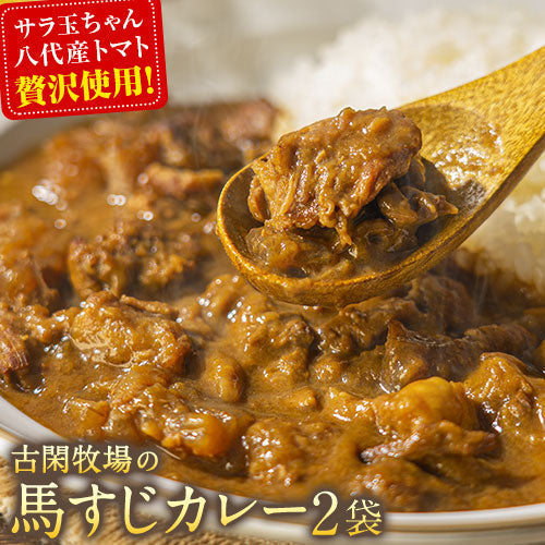 【肉の旨味を味わう！お肉の比率約50％！】古閑牧場の馬すじカレー 200g×2袋 レトルト食品 惣菜 パック インスタント 馬肉 お取り寄せ ご自宅用 送料無料