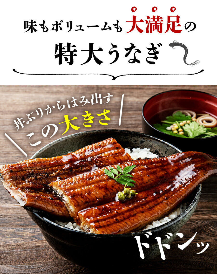 【3人シェア買いでお得】うなぎ 国産 無投薬 2尾 約180g×2本 鰻 風呂敷包み 鹿児島県産  鰻 うなぎ ウナギ 蒲焼 かば焼き 土用丑 土用 丑の日 スタミナ 夏 山田水産 冷凍便 お取り寄せグルメ 食品 ギフト