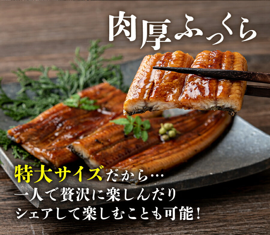 無投薬うなぎ 4尾 約140g×4本 国産 鰻 鹿児島県産 ( 鰻 うなぎ ウナギ 蒲焼 かば焼き 土用丑 土用 丑の日 スタミナ 夏 山田水産) 冷凍便 お取り寄せグルメ 食品 ギフト