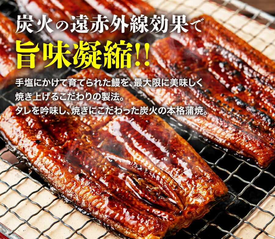 無投薬うなぎ 4尾 約140g×4本 国産 鰻 鹿児島県産 ( 鰻 うなぎ ウナギ 蒲焼 かば焼き 土用丑 土用 丑の日 スタミナ 夏 山田水産) 冷凍便 お取り寄せグルメ 食品 ギフト